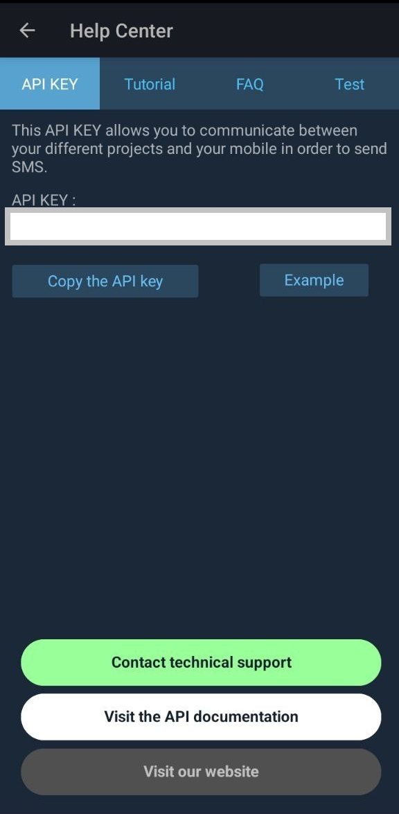 Отображение ключа API
